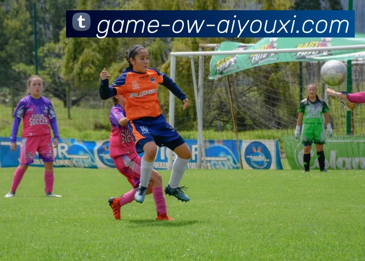 爱游戏平台生态图